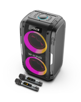 W-King T9PRO Haut-parleurs avec micros 120W Haut-parleur de fête Système de karaoké portable Haut-parleur DJ avec caisson de basses Haut-parleur de cinéma maison