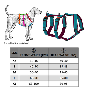 Produttore Commercio All'ingrosso di New Design Confortevole E Traspirante Air Mesh Imbottito a prova di Fuga <span class=keywords><strong>H</strong></span> di Nylon Del Cane Imbracatura di Sicurezza - Product Image 6