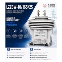 Transformateur de courant de type pilier en résine coulée pour extérieur LZZBW-10/165/2S 10kV 0.2/10P 5A/1A