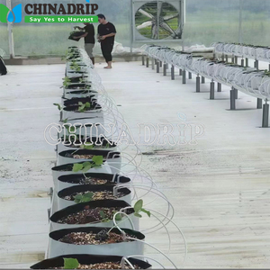 Trang Trại Hệ Thống Thủy Lợi Vườn Nhỏ Giọt Mũi Tên Nhỏ Giọt Cổ Phần Nhỏ Giọt Với Emitter Bên Trong - Product Image 2