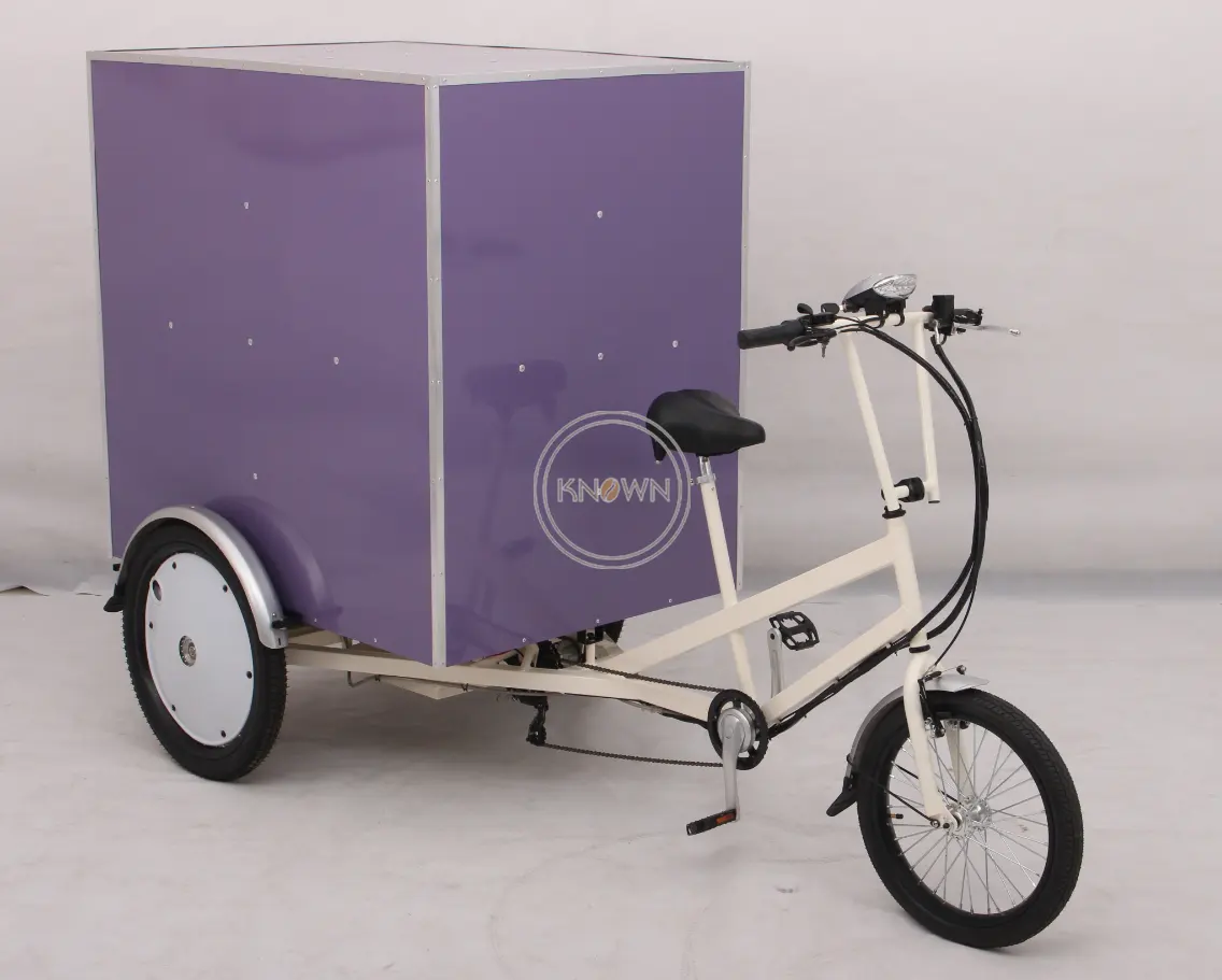OEM Food Cargo Tricycle Mobile Electric Truck Bike Food Carry Goods 3 wheel Bike for Sale