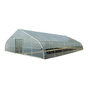 High Strength Commercial Tomato Greenhouse Agricultural Farm Poly Tunnel Green House Plastic Film Cultivation Shed on Sale