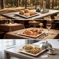 Assiette carrée en bagasse Qiaowang de 10 pouces, écologique, jetable, légère, biodégradable et compostable, modèle QW-P-18 pour le camping