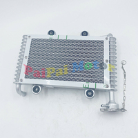 Bashan 200CC 250CC ATV Quad radiateur pour Bashan 200-250CC ATV