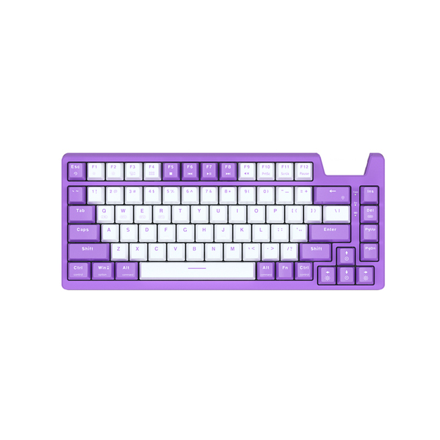 Real Mechanical 75 Keys RGB OEM Gaming Keyboard 3 Mode Rechargeable Wired Wireless Mechanical Keyboard