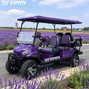 Carrito de Golf Eléctrico ZOWN de 4 Plazas, Batería de 48V, Color Personalizado, Buggy para Hoteles y Parques, 2 Años de Garantía, Atracciones Turísticas - Product Image 1