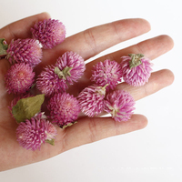Têtes de fleurs séchées artificielles naturelles en gros pour la décoration de gâteaux, durables, pour la fête des Mères et Noël