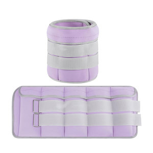 Attrezzatura Fitness Colorata e Resistente del Fornitore Professionale, Pesi Personalizzati per Caviglie e Polsi, Sacchetto di Sabbia - Product Image 1