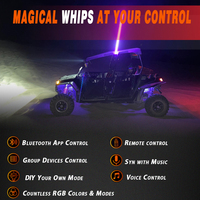 COB RGB LED Fat Whip Light 2.2-Inch Mining ATV/UTV/Truck Spiral Flag Light avec Happy Lighting APP Télécommande Car Light