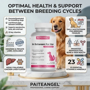 OEMプライベートラベル犬用マルチビタミン、雌犬の健康補助食品、チュアブルタイプのビタミン - Product Image 1