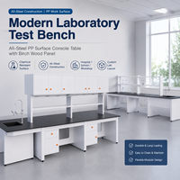 Table de laboratoire moderne tout acier avec surface en PP et panneau en bois de bouleau pour hôpitaux, ateliers et écoles