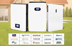 แบตเตอรี่ลิเธียม <span class=keywords><strong>E</strong></span>-ve เกรด A 51.2V 200AH แบบติดผนัง LiFePO4 48V 100AH 200AH สำหรับระบบไฮบริดพลังงานแสงอาทิตย์ - Product Image 6