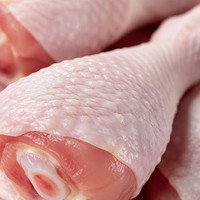 Cuisses de poulet congelées de qualité supérieure, 100% certifiées Halal, volailles fraîchement transformées pour la vente en gros et l'exportation