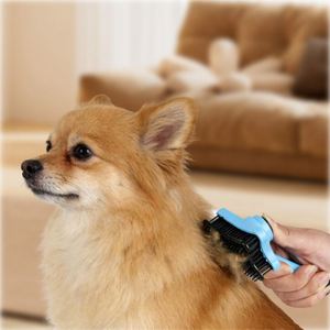 2026 <b>Pet</b> <b>Brush</b> Portable Custom 3 Color Plastic Silicone Cat Dog Grooming <b>Brush</b> for Promotion - Product Image 3