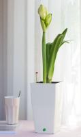 Mini Pot de plantes en plastique à arrosage automatique, Pot de fleurs décoratif moderne/boîte de fenêtre pour toutes les plantes de maison, fleurs