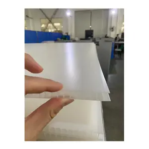 PP Plastic Sheet/Board Multi color corrugated plastic sheet