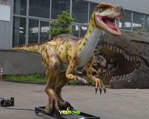 Mô hình khủng long thực tế Velociraptor animatronic Dino tùy chỉnh cho triển lãm sự kiện - Product Image 4
