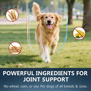 Golosinas Masticables Orgánicas y Seguras para Perros de Raza Grande con Frutas y Zinc para Perros Activos, OEM/ODM - Product Image 4