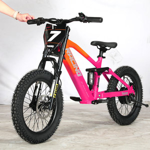 TESORO Lianmei Vélo Tout-Terrain Électrique Sans Balais pour Ados et Enfants, 18 et 20 Pouces, 36V 350W - Product Image 3