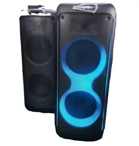 HiFi качество с сабвуфером два 12-дюймовых супер сабвуферных динамиков со светодиодом для сцены вечеринки Профессиональные DJ колонки