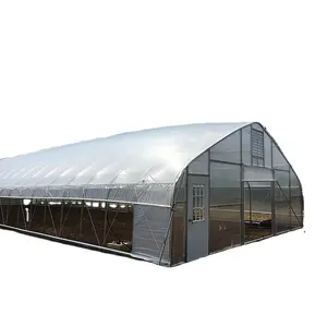 Eine eine Einfach und einfach zu griff günstige metall rahmen für outdoor gewächshaus garten folie tunnel poly haus landwirtschaft gewächshaus