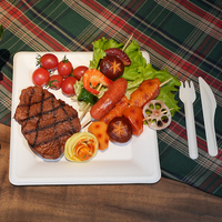 Assiette carrée jetable de 10 pouces canne à sucre bagasse micro-ondes et compostable