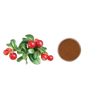 Pure Rose polyphenol 5% 20% plant extract Rose Hip Extract powder Brown yellow powder