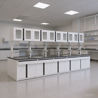 Plan de travail de laboratoire moderne en acier personnalisé avec évier et plateau en résine époxy pour écoles, hôpitaux, ateliers et laboratoires scientifiques