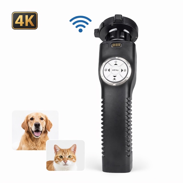 Portable Ultra HD Veterinary Endoscope with Li-Ion Battery for Rigid Scope Laparoscopy in Hospitals