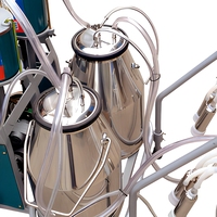 Machine à traire les vaches laitières à double cluster en acier inoxydable, facile à utiliser, de qualité supérieure, très vendue pour la transformation laitière
