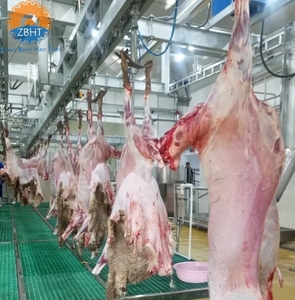 Ligne d'abattage personnalisable de haute qualité pour abattoir moderne musulman, équipement professionnel de transformation de la <span class=keywords><strong>viande</strong></span> de mouton - Product Image 5