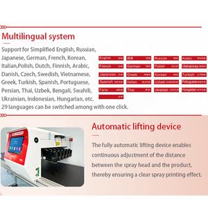 Machine à jet d'encre TIJ en ligne Imprimante à plat facile à utiliser pour les œufs de texte en plastique pour l'usine - Product Image 3