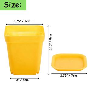 Maceta de plástico para semillero de flores, contenedor cuadrado colorido para plantas de interior y <span class=keywords><strong>exterior</strong></span>, para su habitación, jardín y oficina - Product Image 2