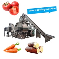 Automatische aardappel- en druivenstoomschilmachine, elektrische verwerkingslijn voor voedingsmiddelenfabrieken