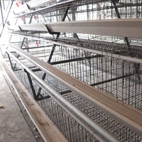 Cage à poulets pondeuses entièrement automatique à 4 niveaux, type A, galvanisée à chaud, avec courroie de nettoyage du fumier, pour un gain de main-d'œuvre
