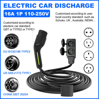 Véhicule à charger 250V Ev sortie de décharge V2L adaptateur sortie pour Hyundai MG KIA BYD voitures