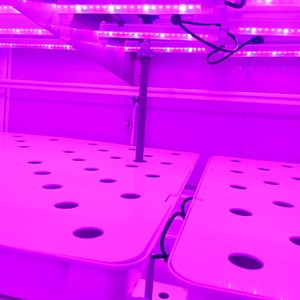 2026 OEM Commercial Aquaponic Farming System Greenhouse Vertical Hydroponic <b>Rack</b> Deep Water Culture LED Grow Light Pump High Hig - Product Image 2