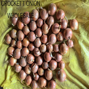 Органические цельнокорневые и листовые вяленые хлопья лука сладкие чистые ароматизированные объемные зеленые овощи для выпечки, похожие на порошок - Product Image 5