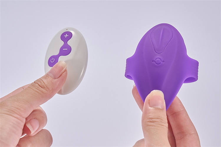 รีโมทคอนโทรล