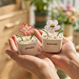 Collection Cadeau Artisanale de Plantes <span class=keywords><strong>en</strong></span> Pot <span class=keywords><strong>en</strong></span> Verre Style Murano avec <span class=keywords><strong>Fleurs</strong></span> de Naissance des Douze Mois, Ensemble Complet de Bonsaï Artistique <span class=keywords><strong>en</strong></span> Cristal - Product Image 1