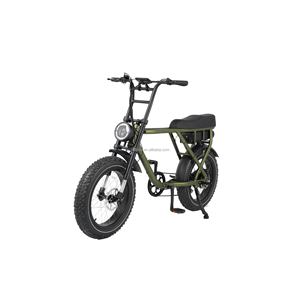 Vélo électrique à pneus larges 20 pouces avec batterie au lithium 48V 20AH, moteur sans balais, cadre en alliage d'aluminium, porte-bagages arrière, 250W/500W/750W - Product Image 2