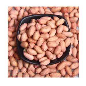 Penjualan grosir kacang mentah berkualitas tinggi, besar dan montok