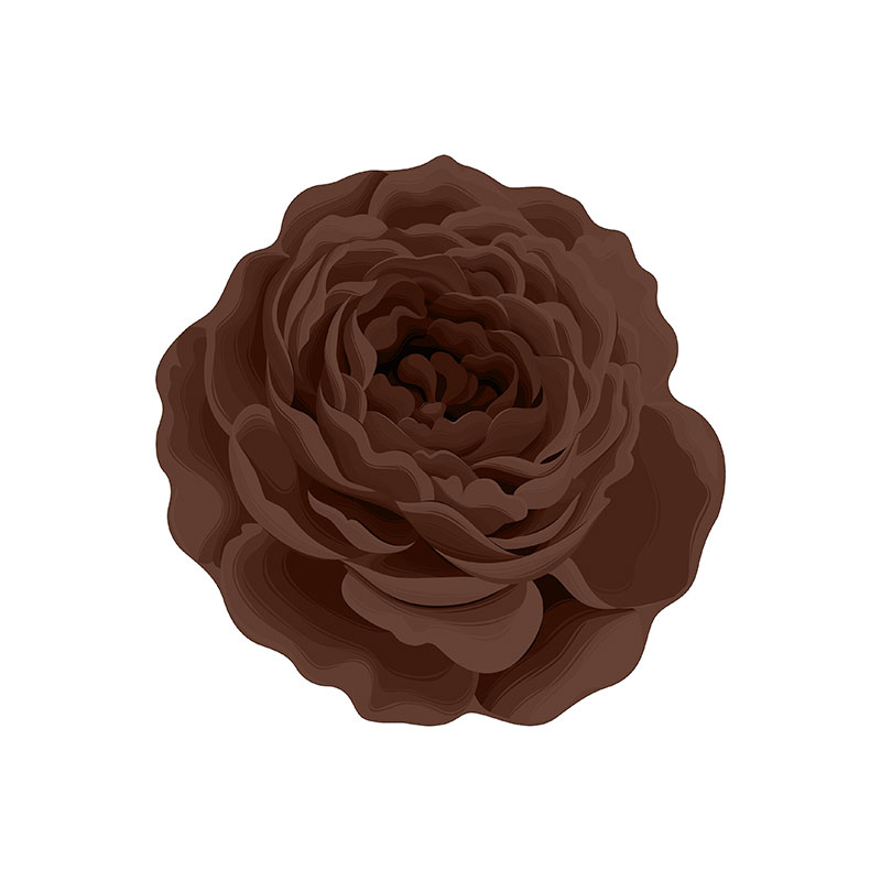 dark brown
