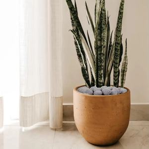 Fourniture en vrac de roche de lave naturelle de qualité supérieure pour l'aménagement paysager extérieur, la décoration de jardin, les foyers, les cheminées, les plantes en pot - Product Image 6