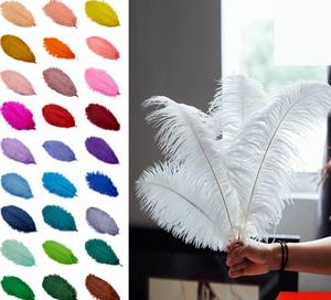 Plumas de Avestruz de 15-80 cm para Espectáculos, Decoración de Bodas, Manualidades, Plumas Blancas de Avestruz - Product Image 3