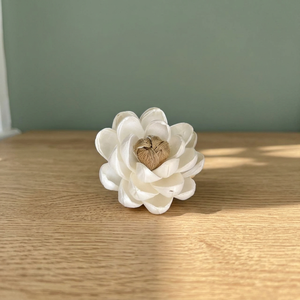 Wholesale Premium White Sola Wood Flowers Eco-Friendly Artificial Dried <b>Reed</b> <b>Diffuser</b> 100% Natural Living Room Home Decor - Product Image 2