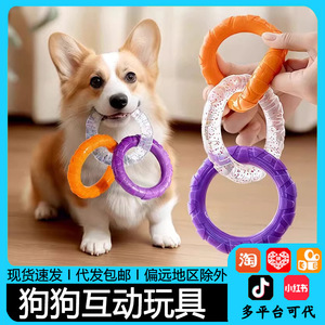 Jouets à mâcher pour chiens en plastique, interactifs, pour l'entraînement, anti-ennui, nettoyage des dents, durables, pour usage intérieur - Product Image 5
