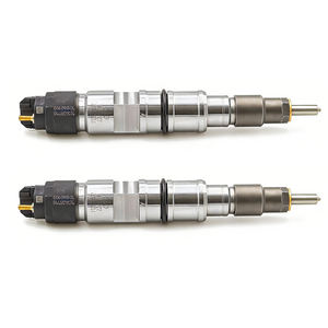 Injecteurs Common Rail 0445120368 0445120389 0445120292 0445120294 - Product Image 4