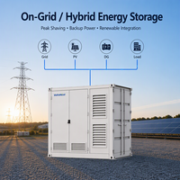 VoltaNest 10ft Penyimpanan Baterai Kontainer Berpendingin Cair 250KW 500KW 1MWh BESS Lithium Iron Phosphate ESS untuk Proyek EPC Besar