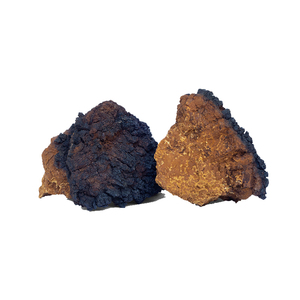 Hữu cơ <span class=keywords><strong>Chaga</strong></span> nấm chiết xuất polysaccharides ở dạng bột Nhà máy cung cấp sản phẩm bán buôn - Product Image 3